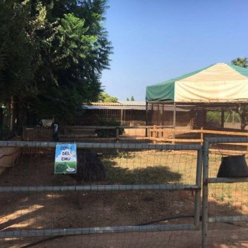 huerto y granja de la Escuela Infantil