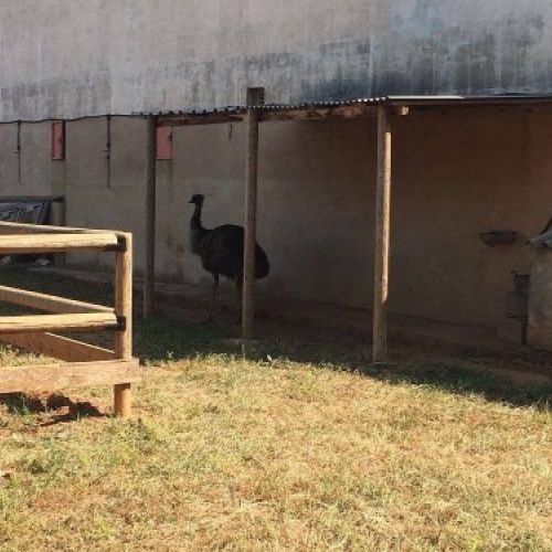 huerto y granja de la Escuela Infantil