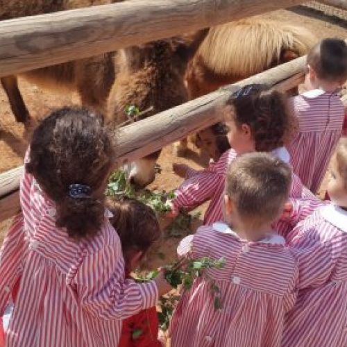 Actividades extraescolares  Escuela Infantil Los Ángeles