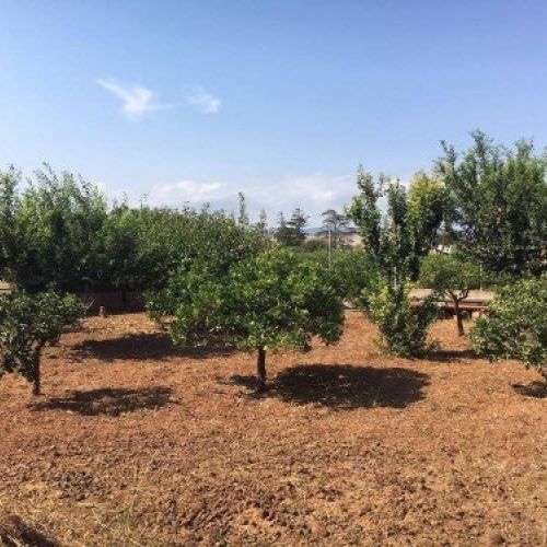 Instalación del huerto y granja de la Escuela Infantil