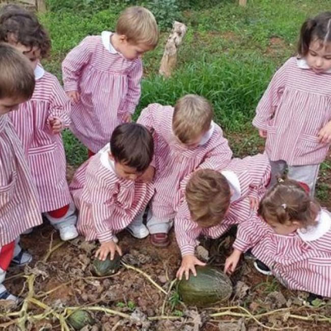 huertos de la escuela infantil los ángeles