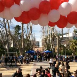 metodologías de educación infantil en Castellón