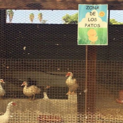 huerto de la Escuela Infantil