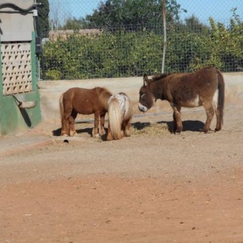 Instalaciones del huerto y granja de la Escuela Infantil