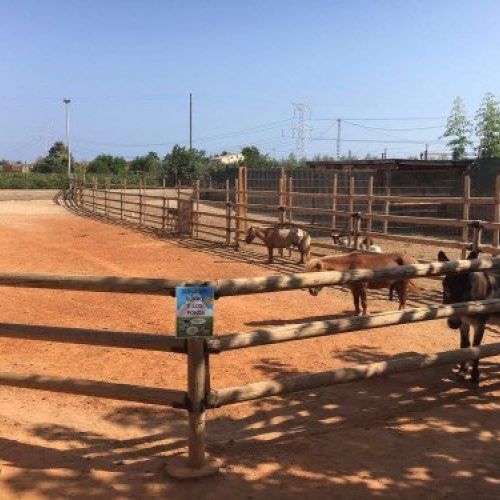 Instalaciones huerto y granja de la Escuela Infantil