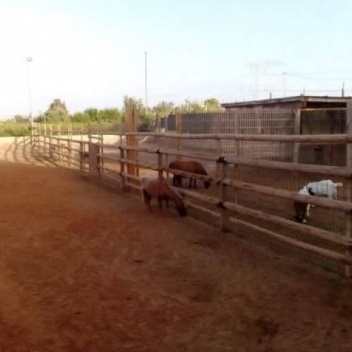 Instalaciones del huerto y granja de la Escuela Infantil