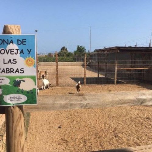 Instalaciones huerto de la Escuela Infantil