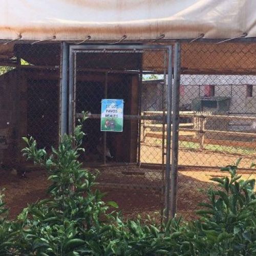 Instalaciones huerto de la Escuela Infantil