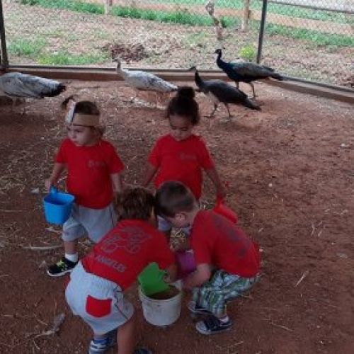 Escuela Infantil Los Ángeles extraescolares actividades