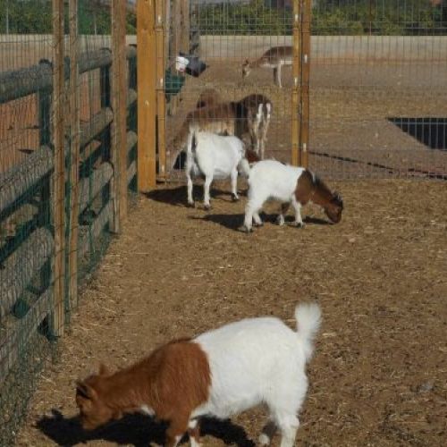 Instalaciones del huerto y granja de la Escuela Infantil