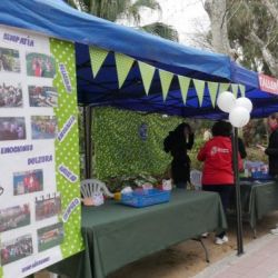 metodologías educación infantil Castellón