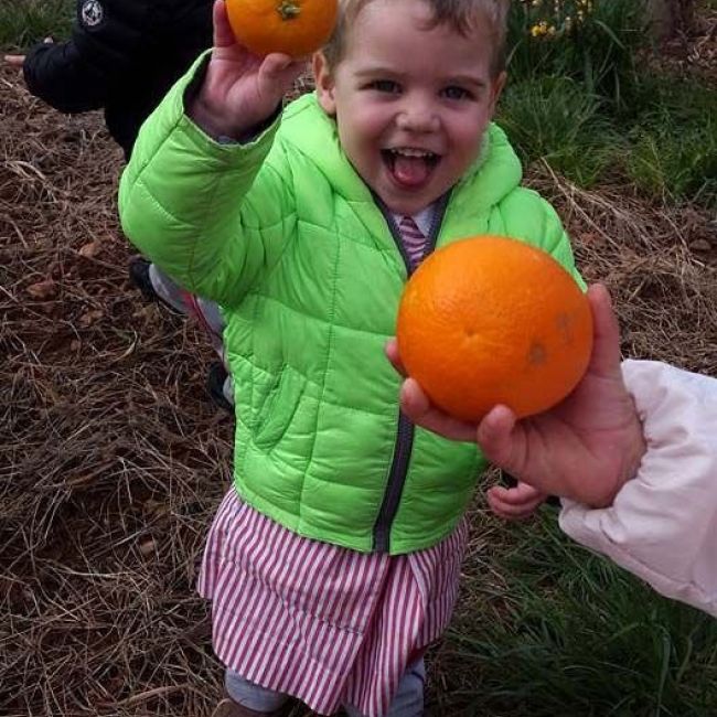 actividad de granja para niño en Castellón