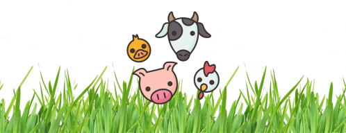 Granja Escuela en Castellón   Los Ángeles