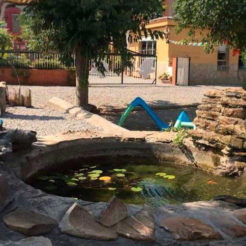 Estanque de peces