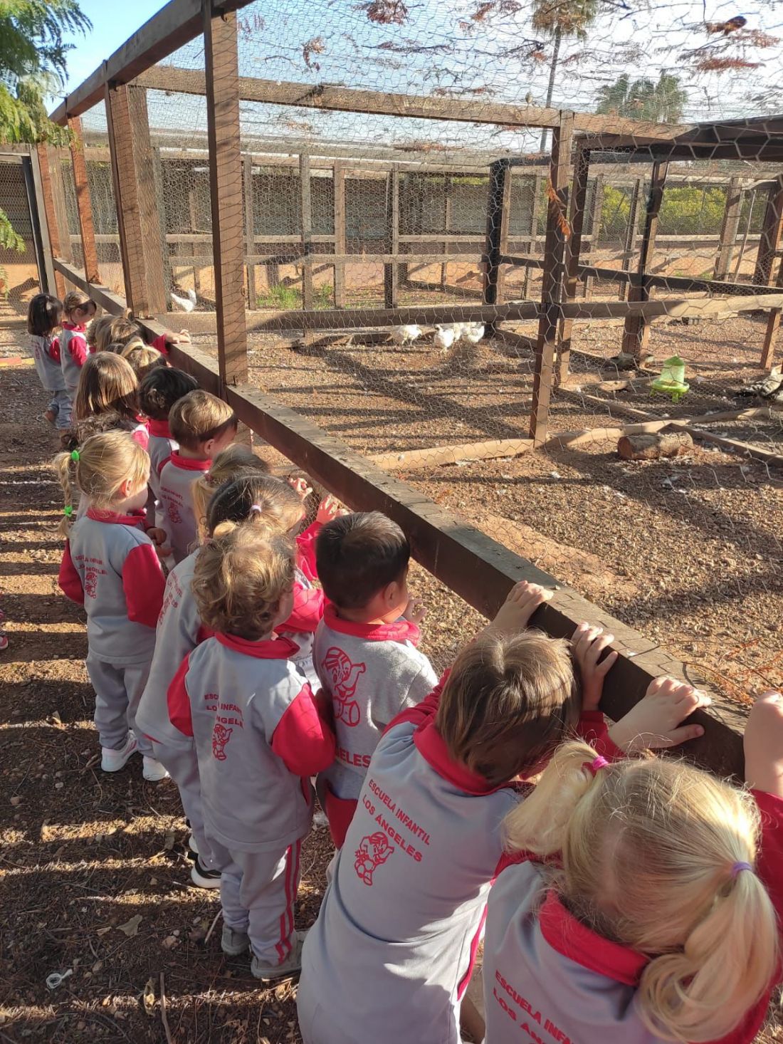 Granja infantil   guardería en entorno natural