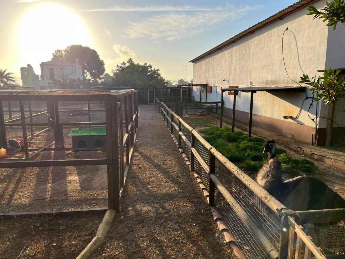 Instalaciones de la escuela infantil en Castellón