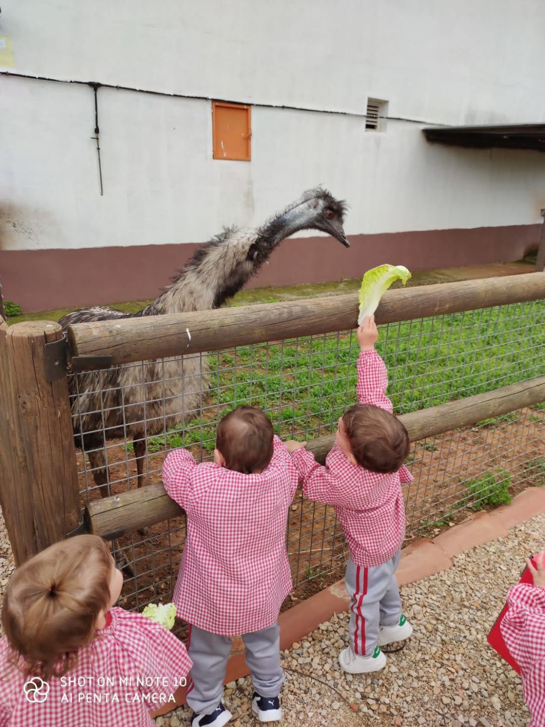 Escuela infantil en Castellón con animales