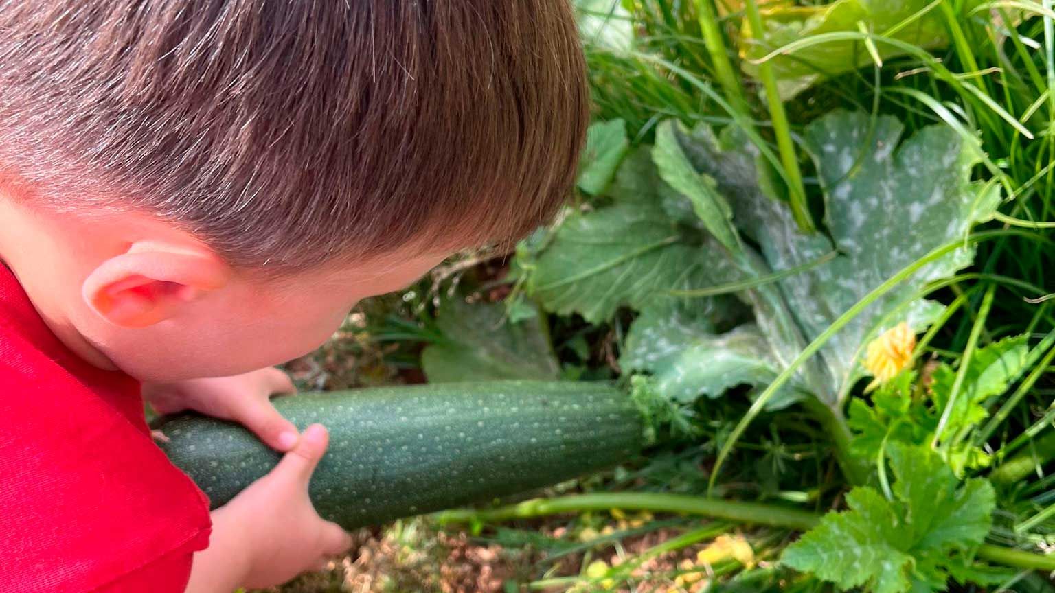 Metodología de la escuela
