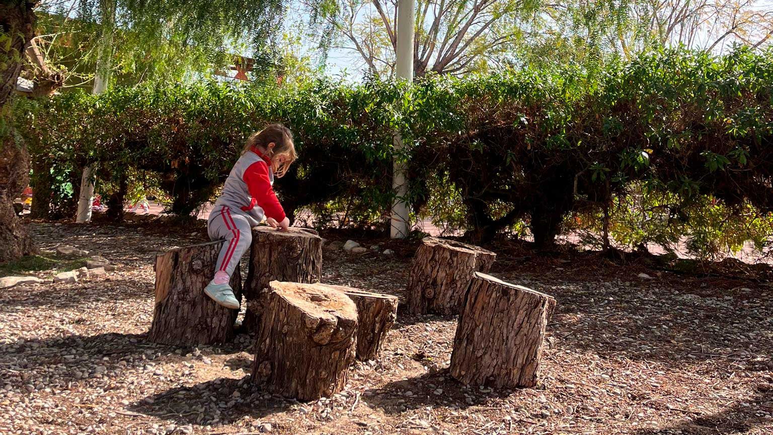 Servicios de la escuela