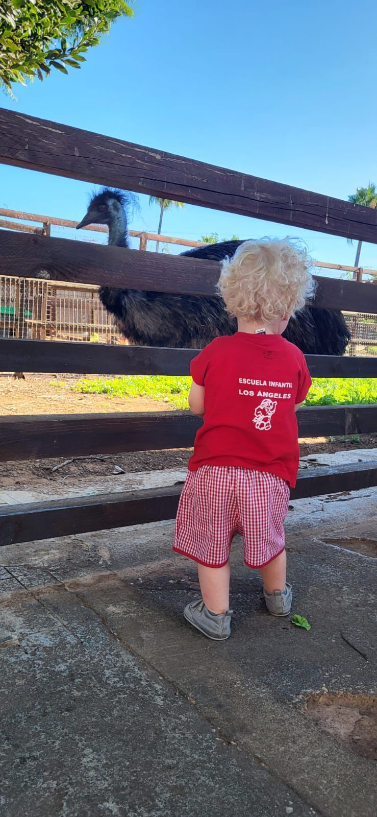 Escuela infantil con granja de animales