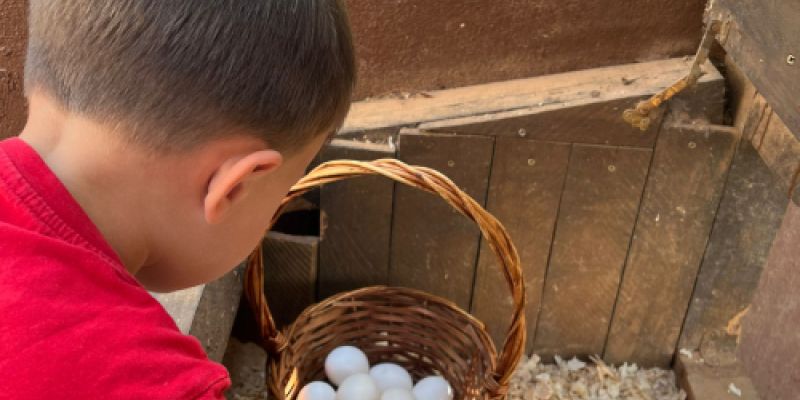 Escuela infantil CEI Los Ángeles Castellón