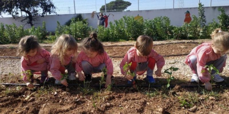 Escuela Los Ángeles Castellón   Infantil 0 3 años
