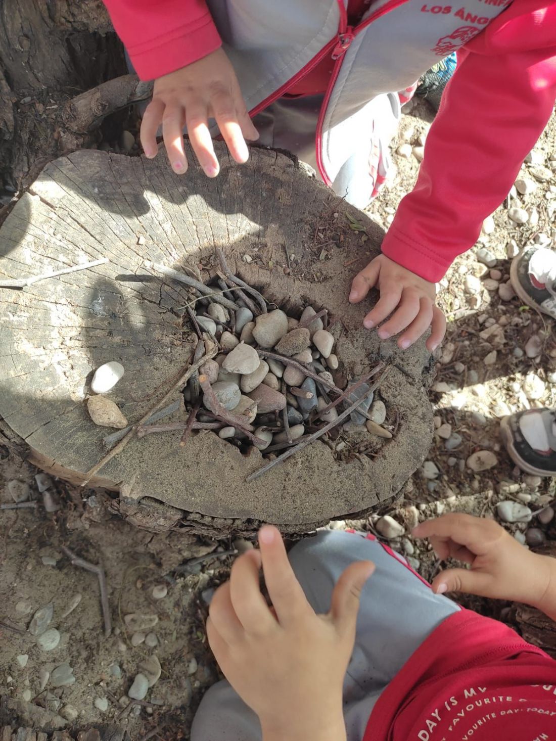 Escuela en Castellón en la naturaleza