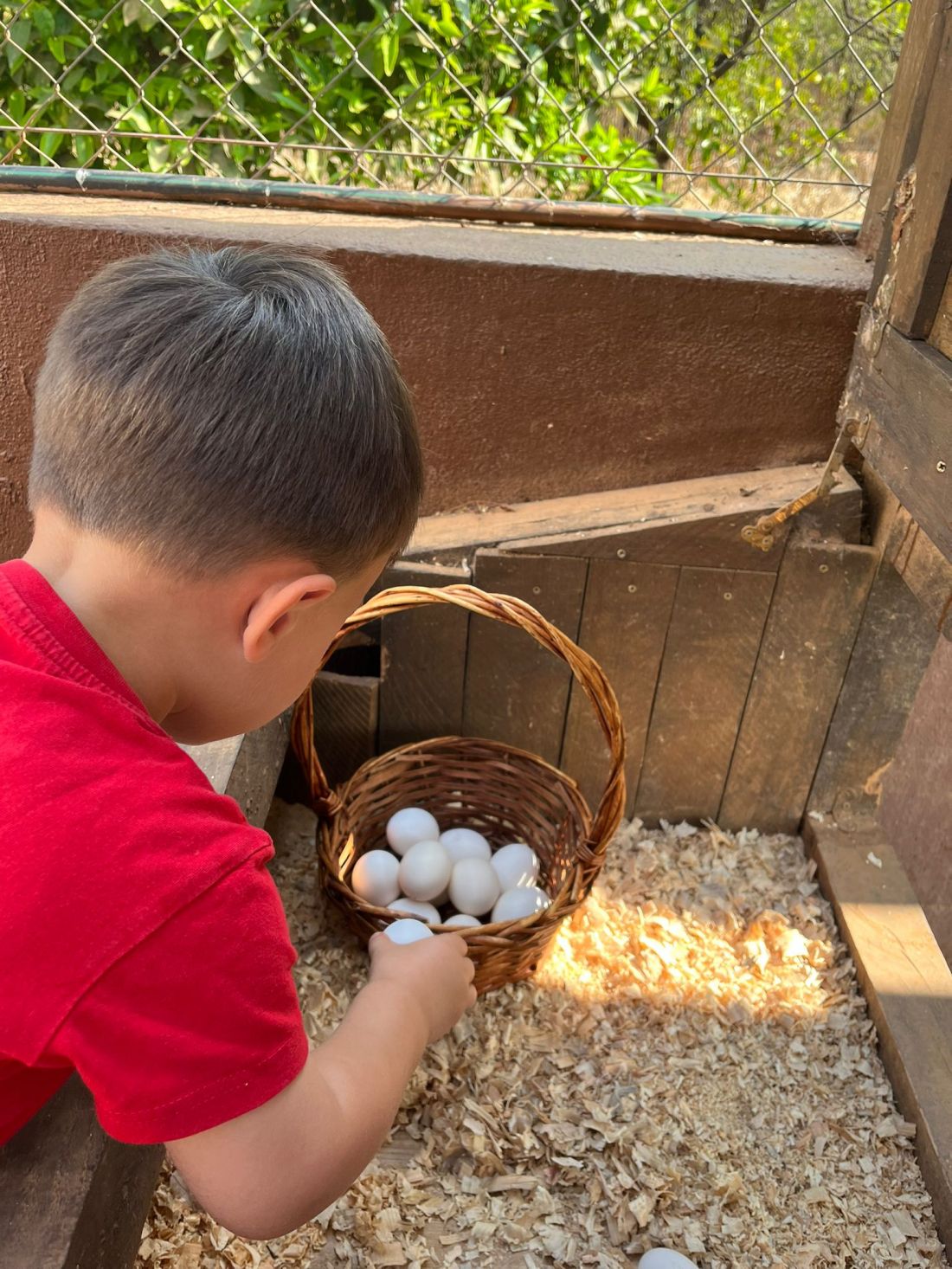 Escuela infantil CEI Los Ángeles Castellón