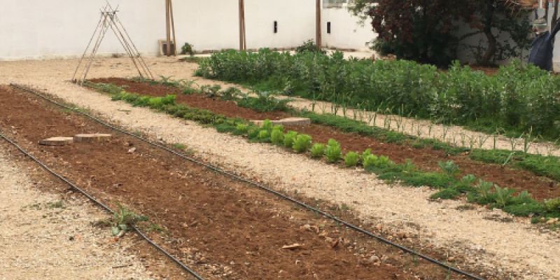 Escuela infantil con huerto en Castellón de la Plana