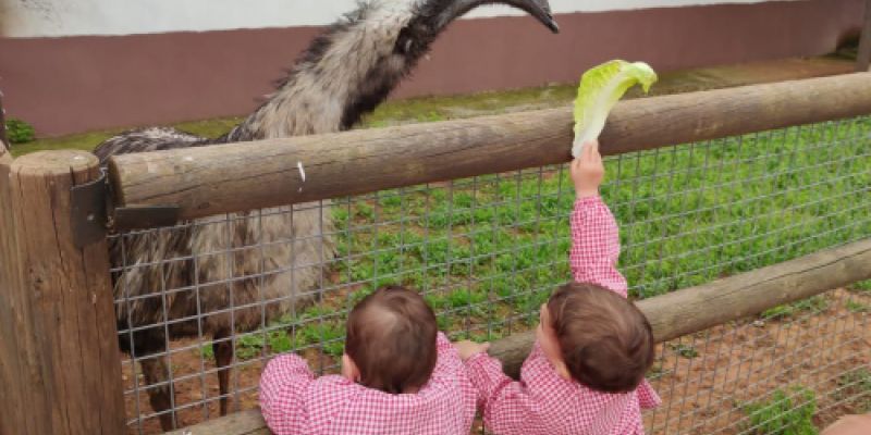 Escuela infantil en Castellón con animales