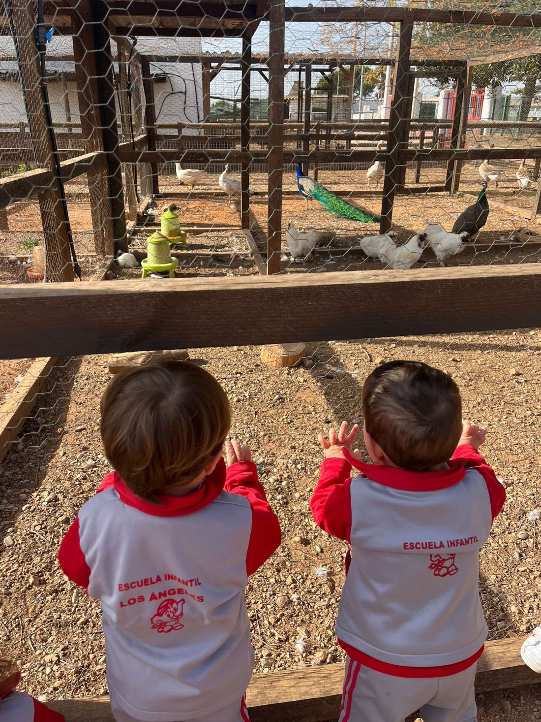 Escuela en entorno natural CEI Los Ángeles Castellón