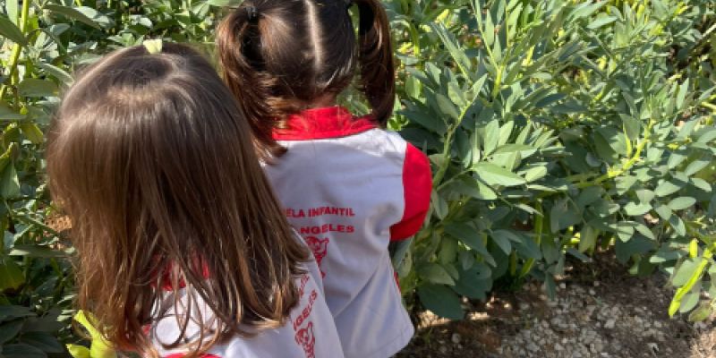 CEI Los Ángeles con huerto ecológico