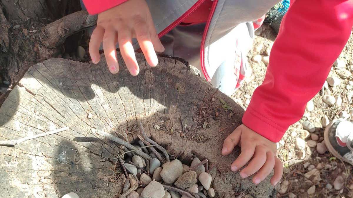 Escoletas en la naturaleza