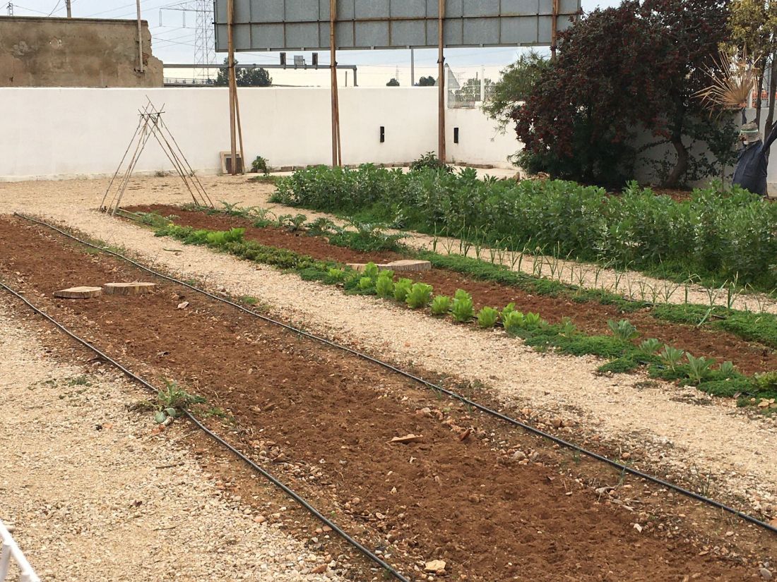 Escuela infantil con huerto en Castellón de la Plana