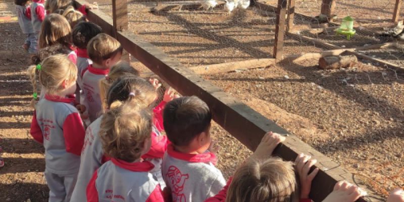 Granja infantil   guardería en entorno natural