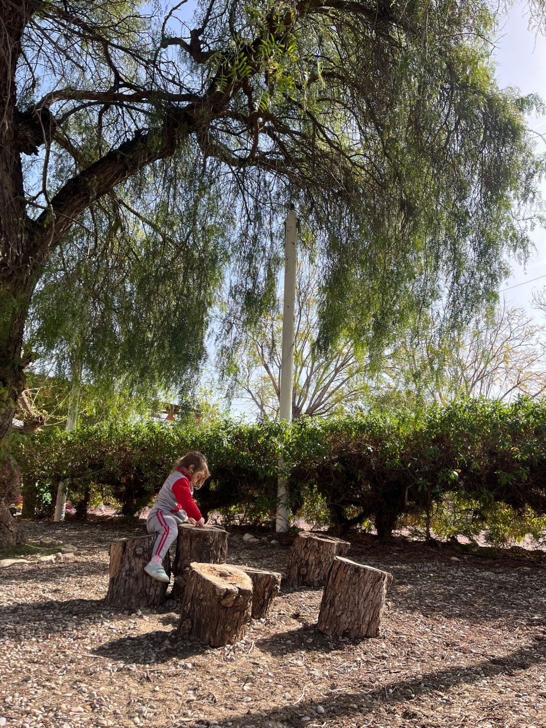 CEI Los Ángeles Castellón Escuela en entorno natural
