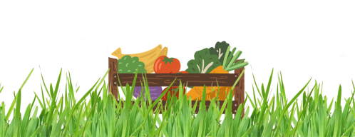 Huerto escolar en Los Ángeles, escuela en Castellón