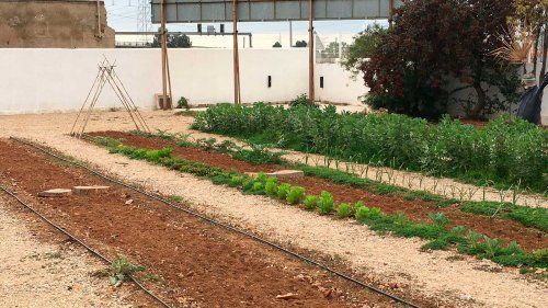 Centro infantil con huerto escolar