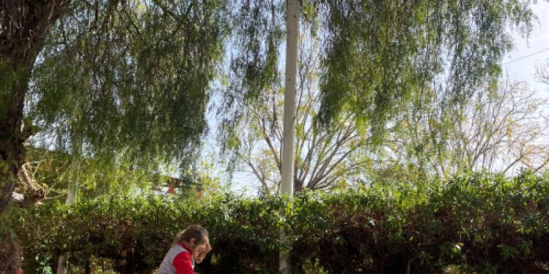 CEI Los Ángeles Castellón Escuela en entorno natural