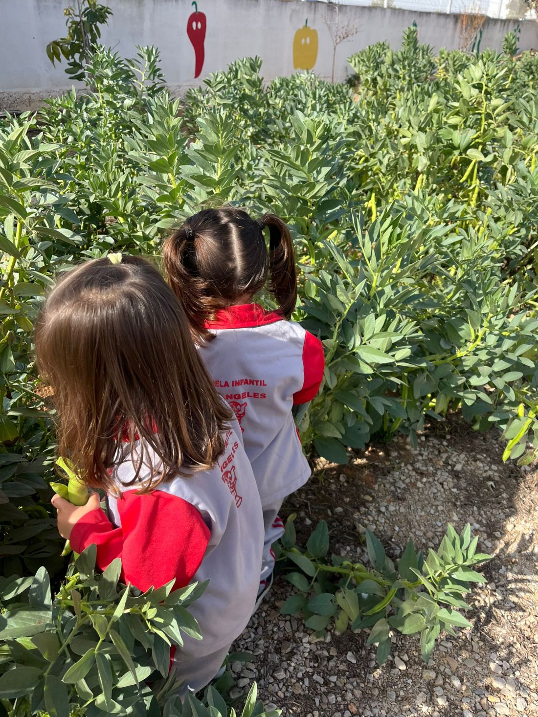 CEI Los Ángeles con huerto ecológico