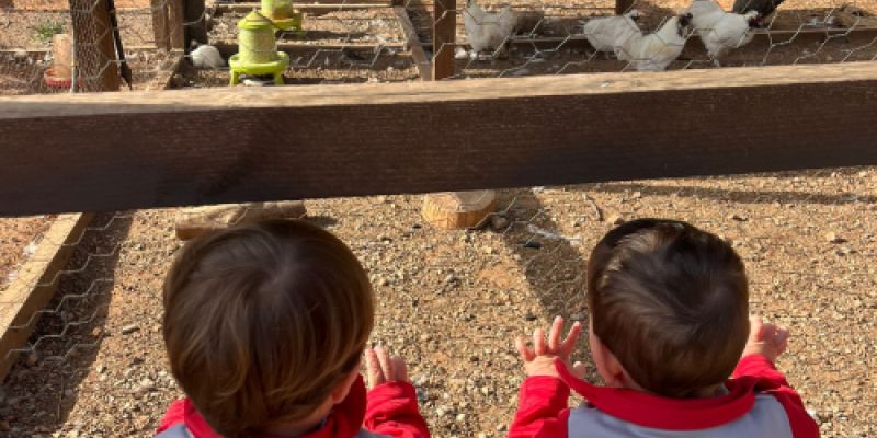 Escuela en entorno natural CEI Los Ángeles Castellón